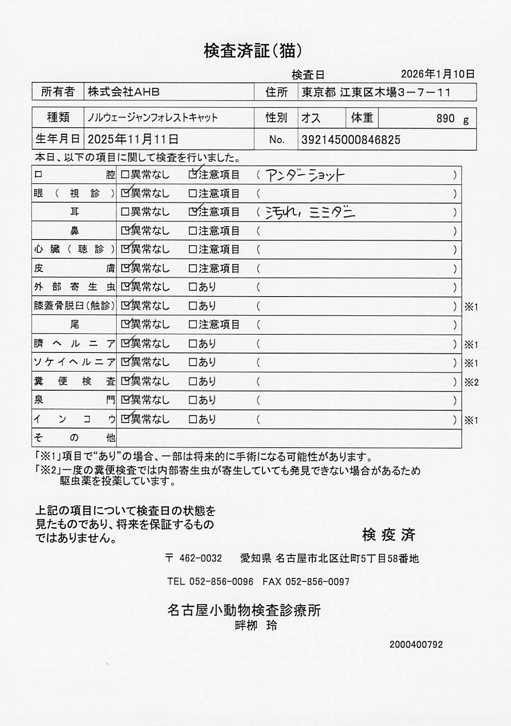 ノルウェージャンフォレストキャット
