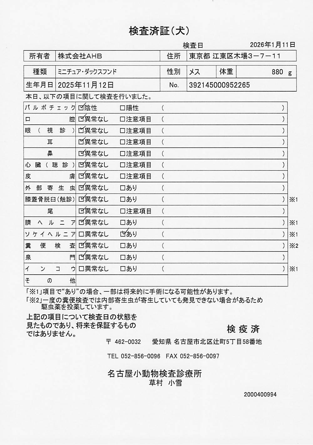 ミニチュア・ダックスフンド