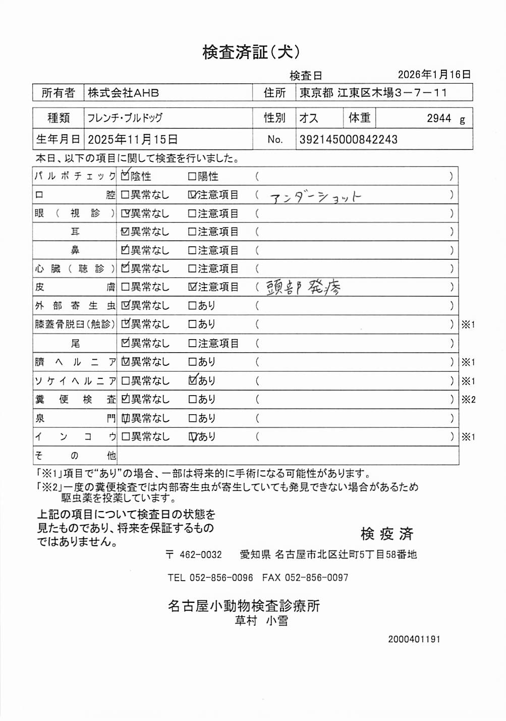 フレンチ・ブルドッグ