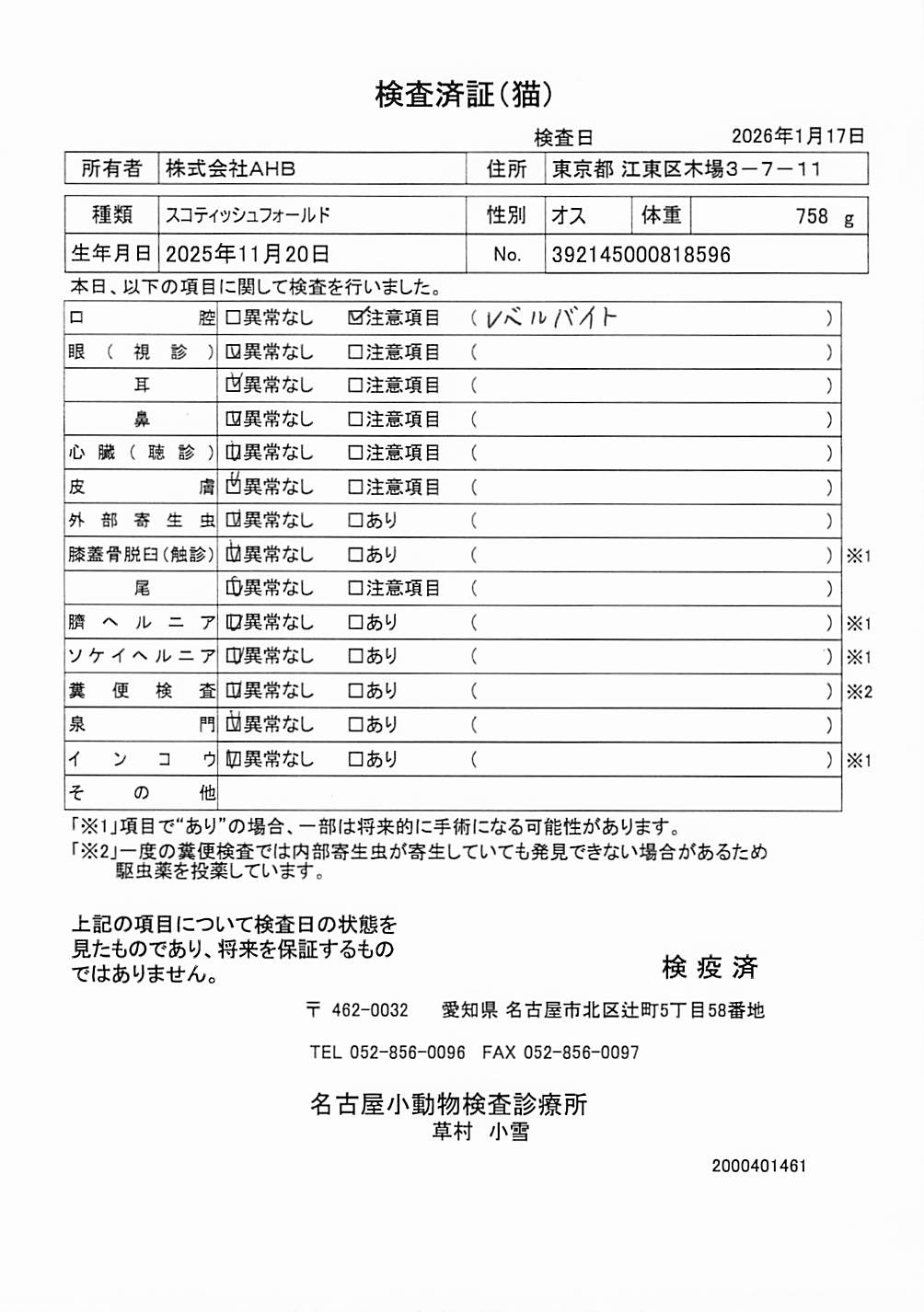 スコティッシュフォールド