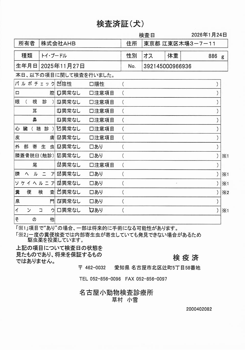 トイ・プードル