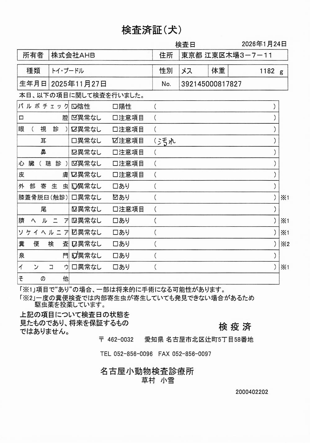 トイ・プードル