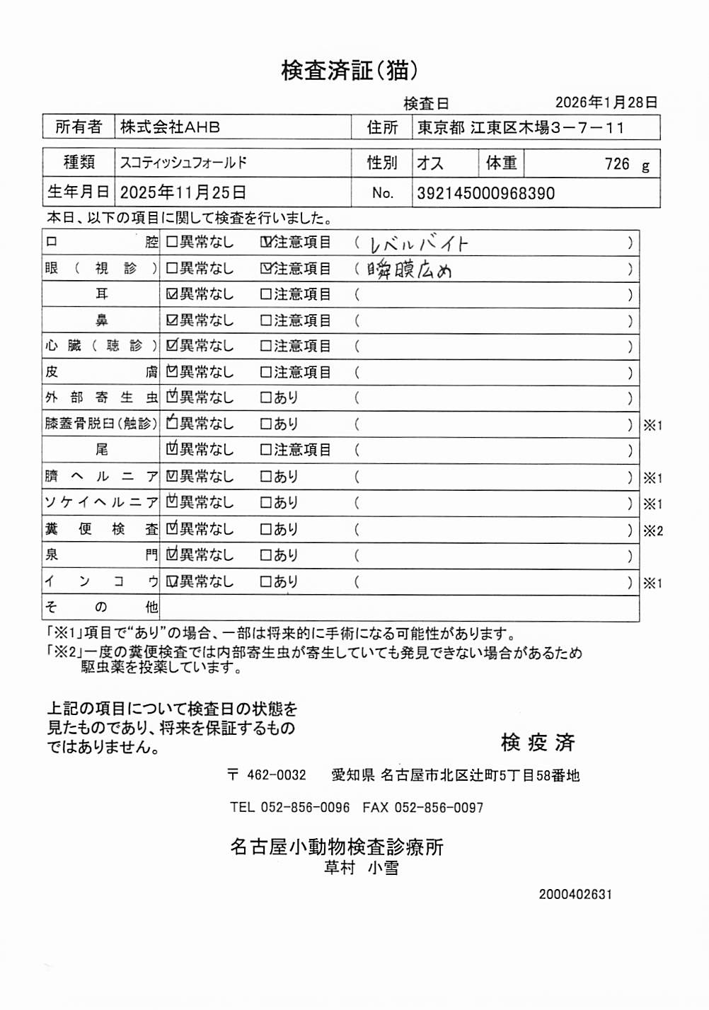 スコティッシュフォールド