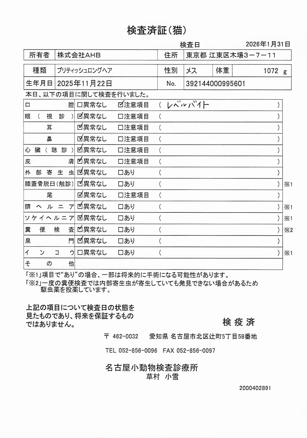 ブリティッシュロングヘア