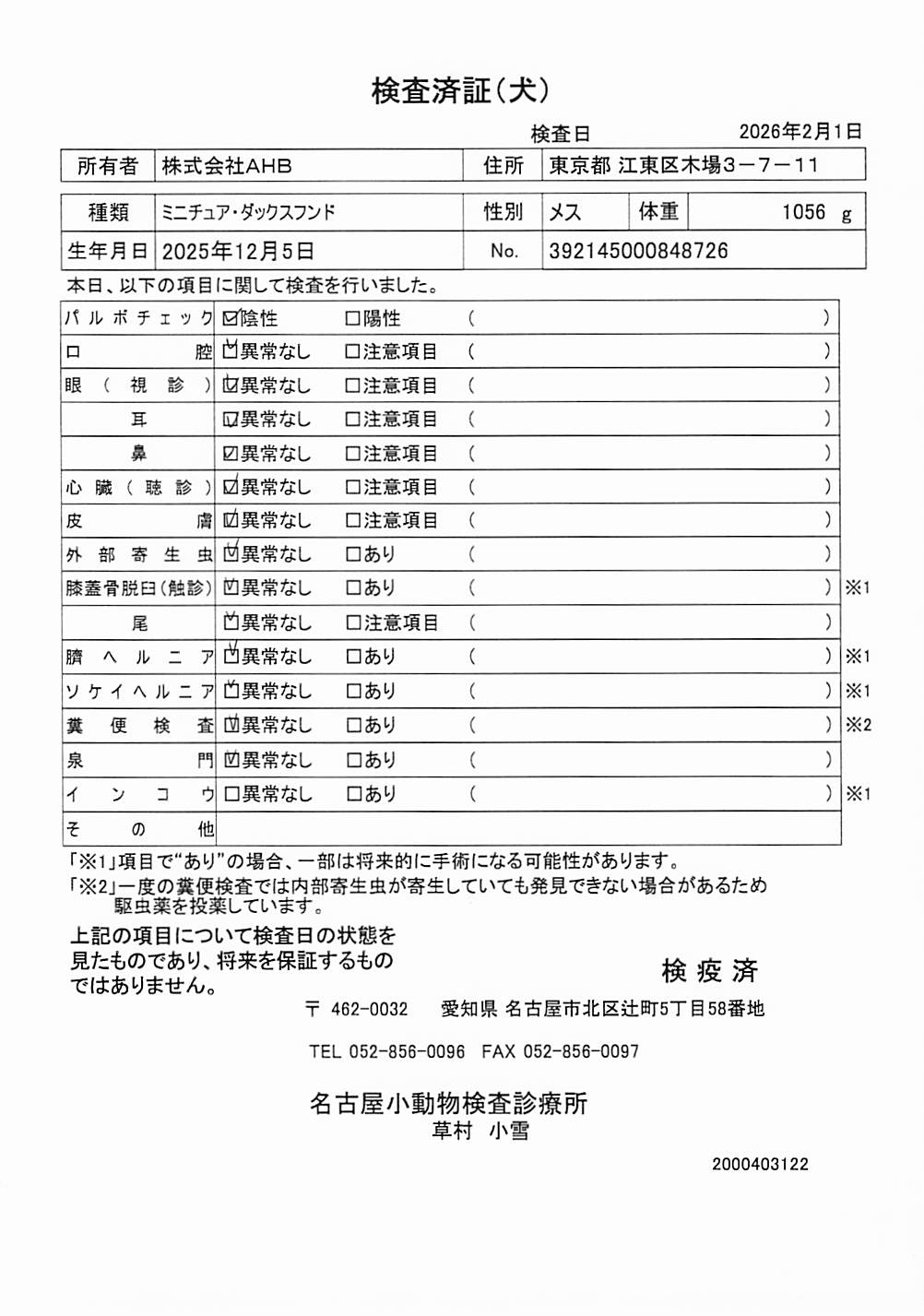 ミニチュア・ダックスフンド