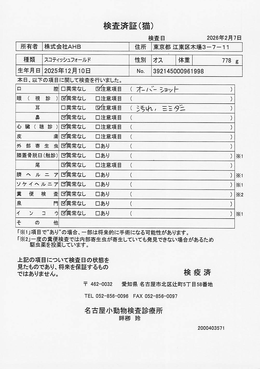 スコティッシュフォールド