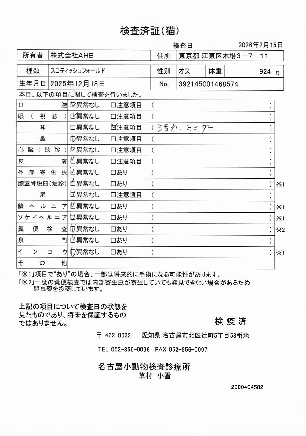 スコティッシュフォールド