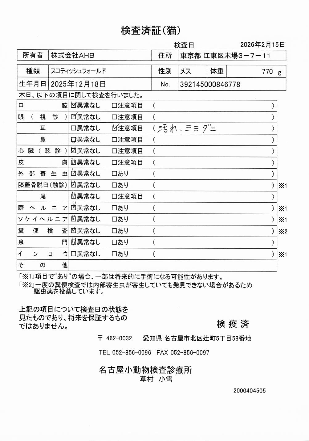 スコティッシュフォールド