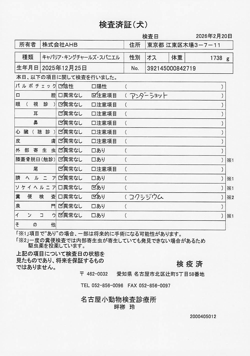 キャバリア・キングチャールズ・スパニエル