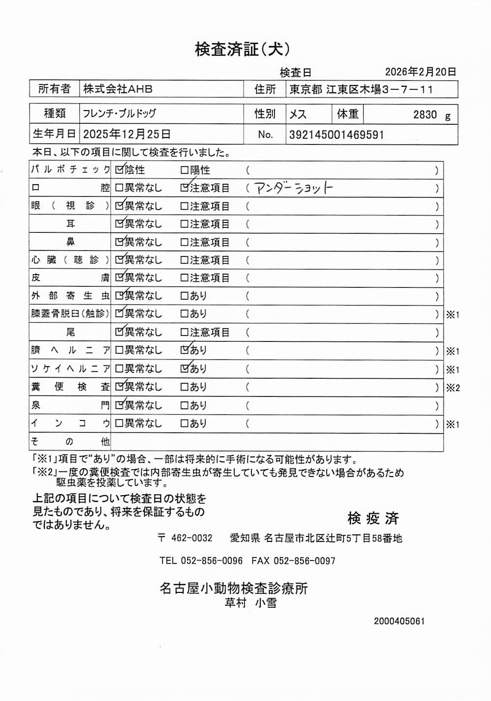 フレンチ・ブルドッグ