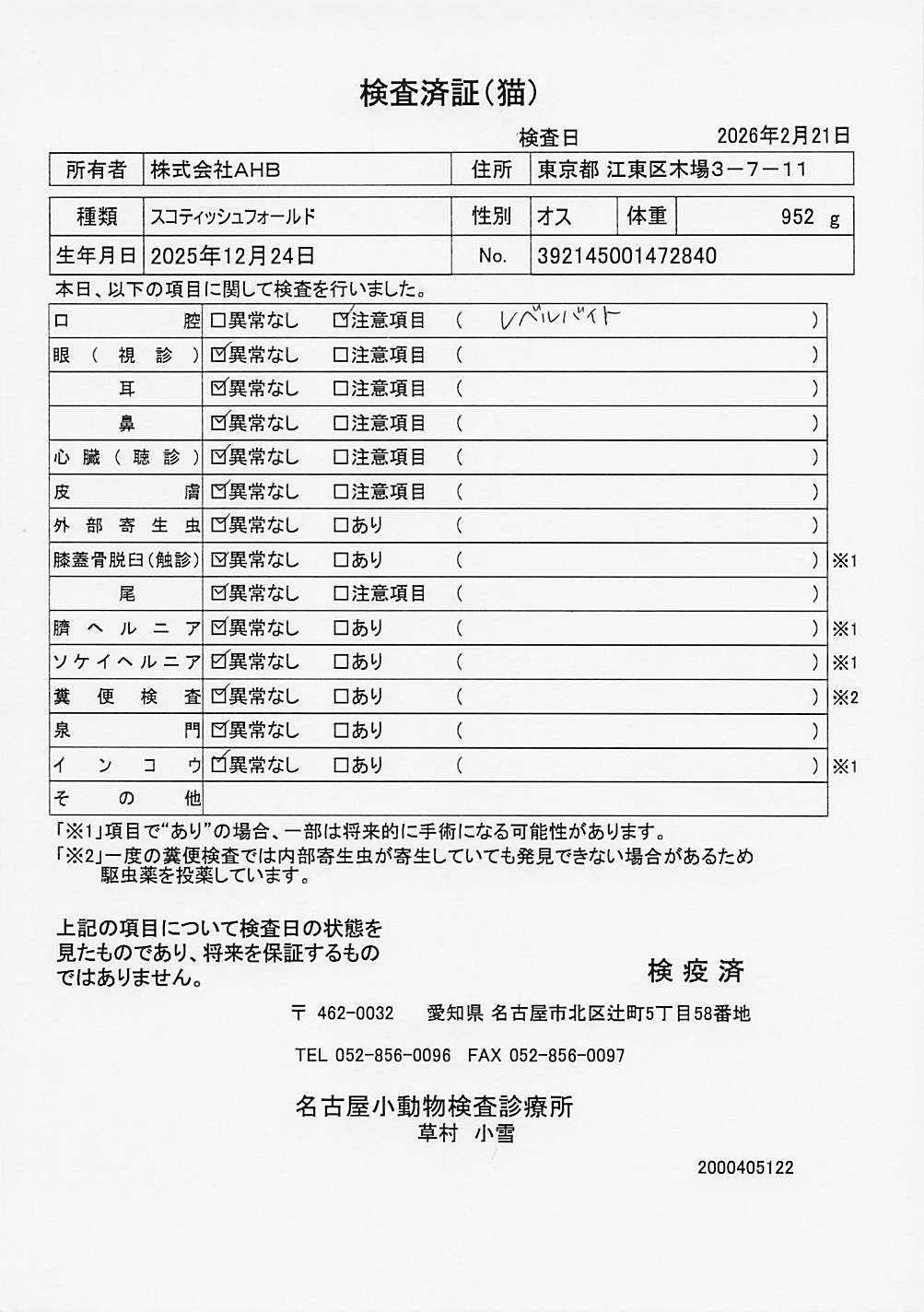 スコティッシュフォールド