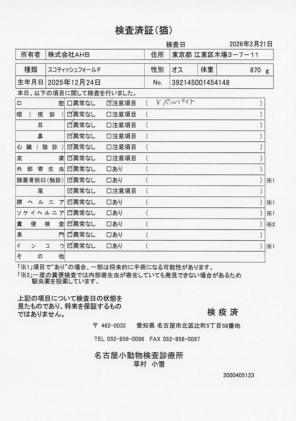 スコティッシュフォールド