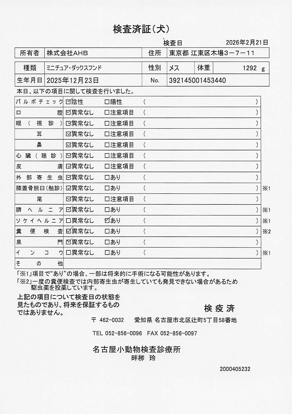 ミニチュア・ダックスフンド