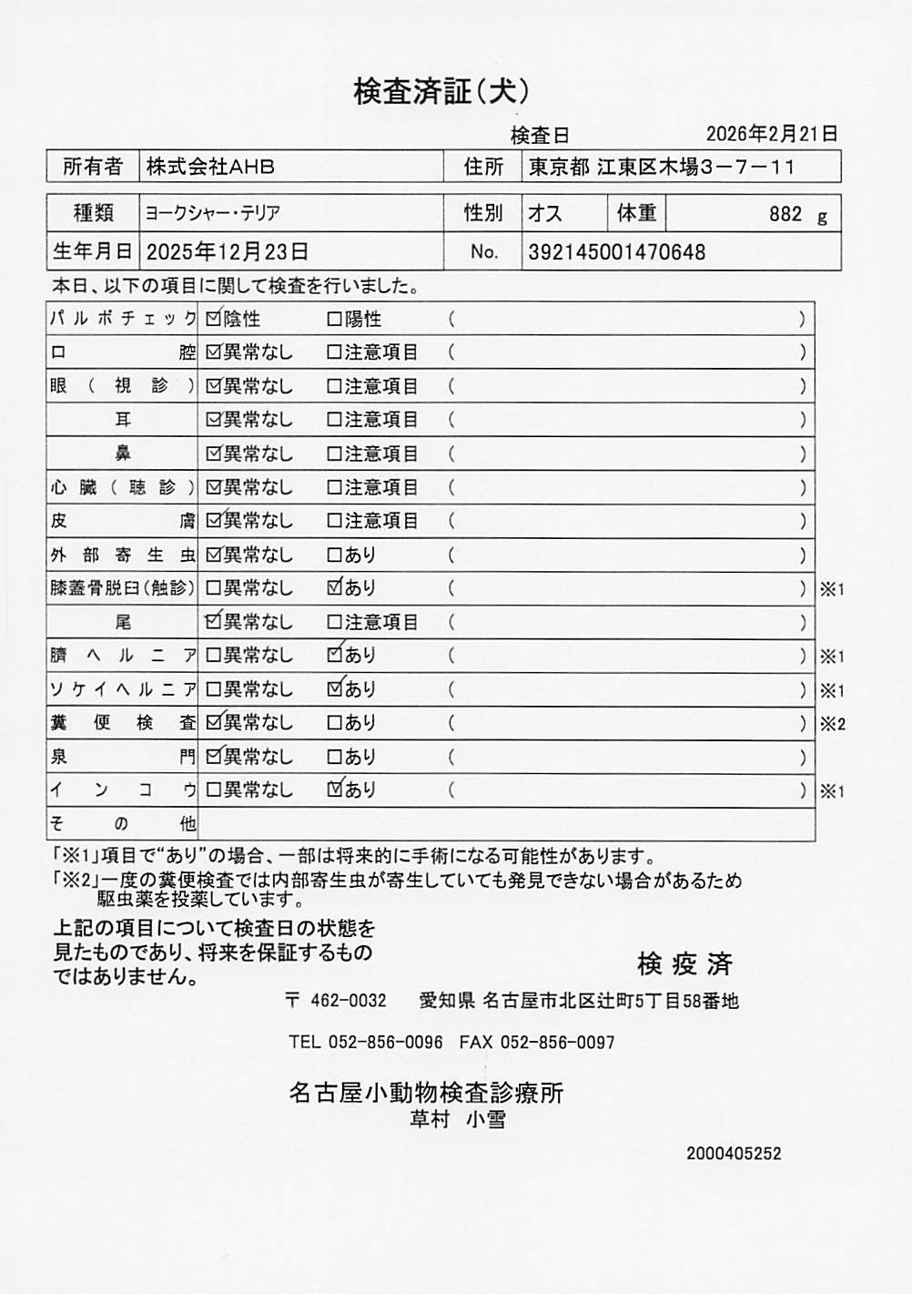 ヨークシャー・テリア