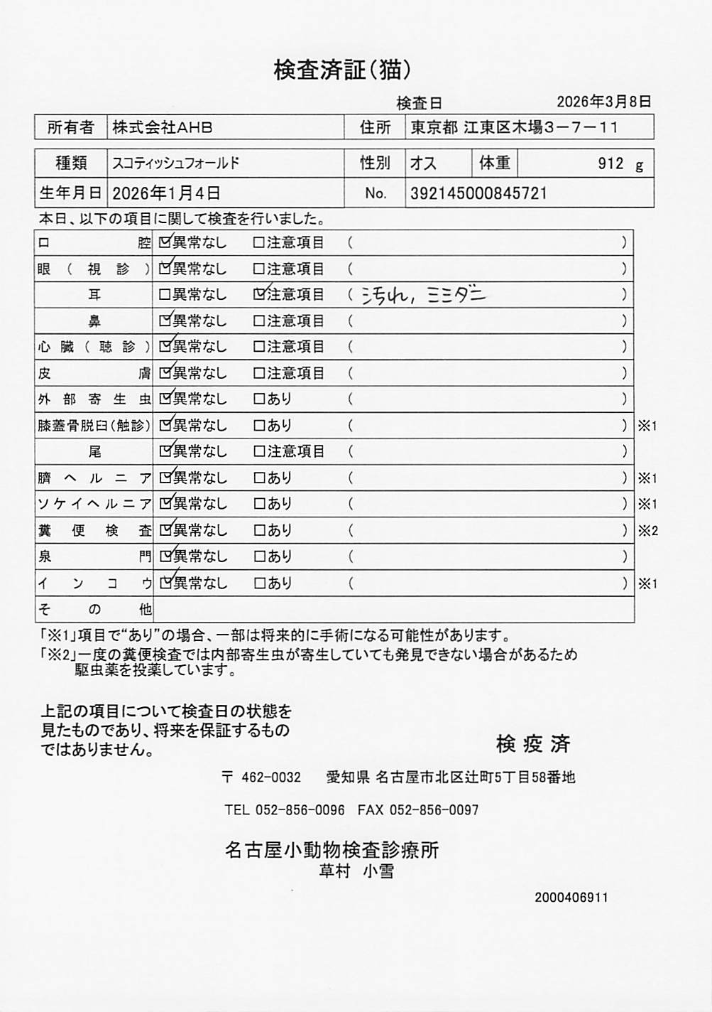 スコティッシュフォールド