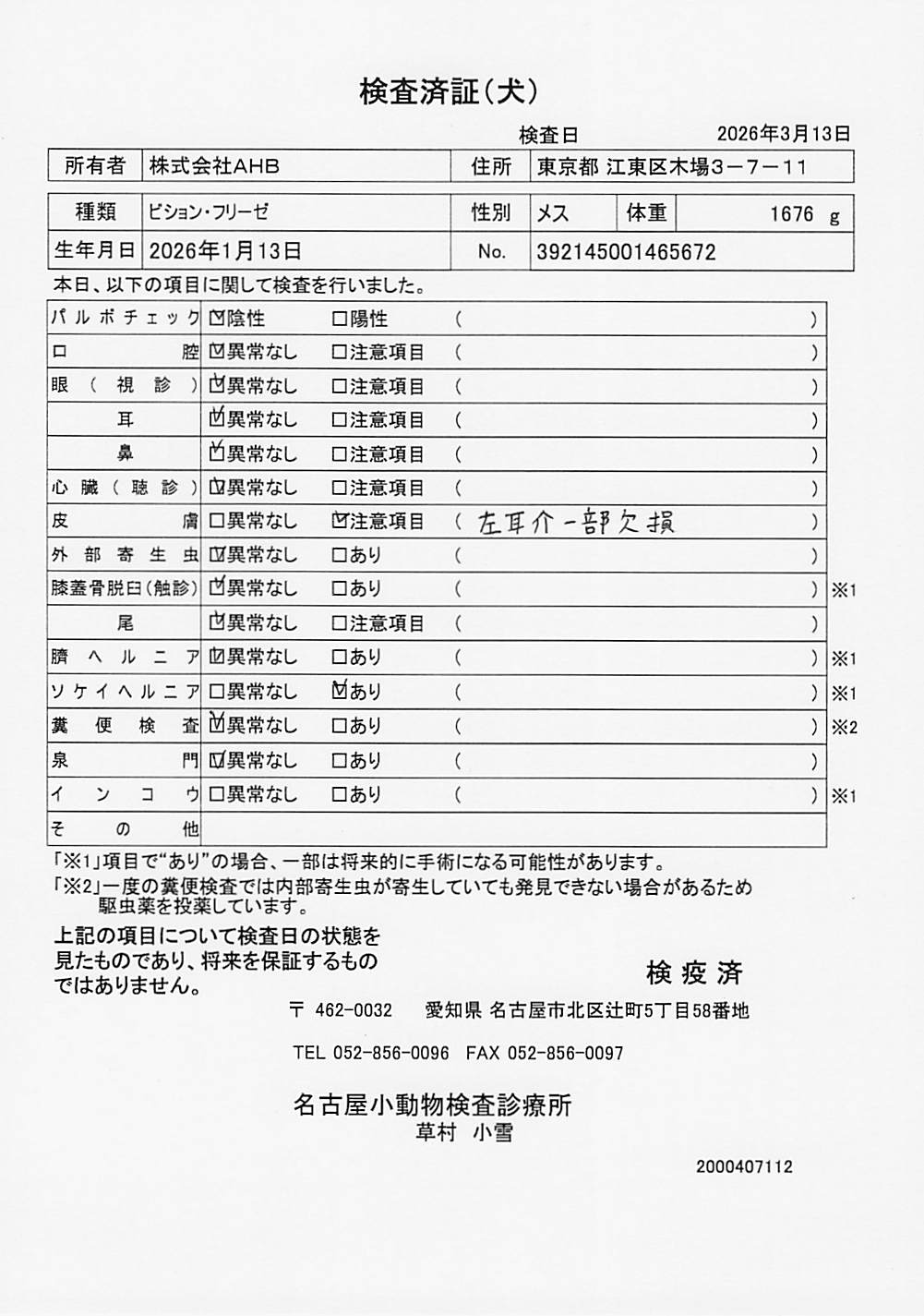 ビション・フリーゼ