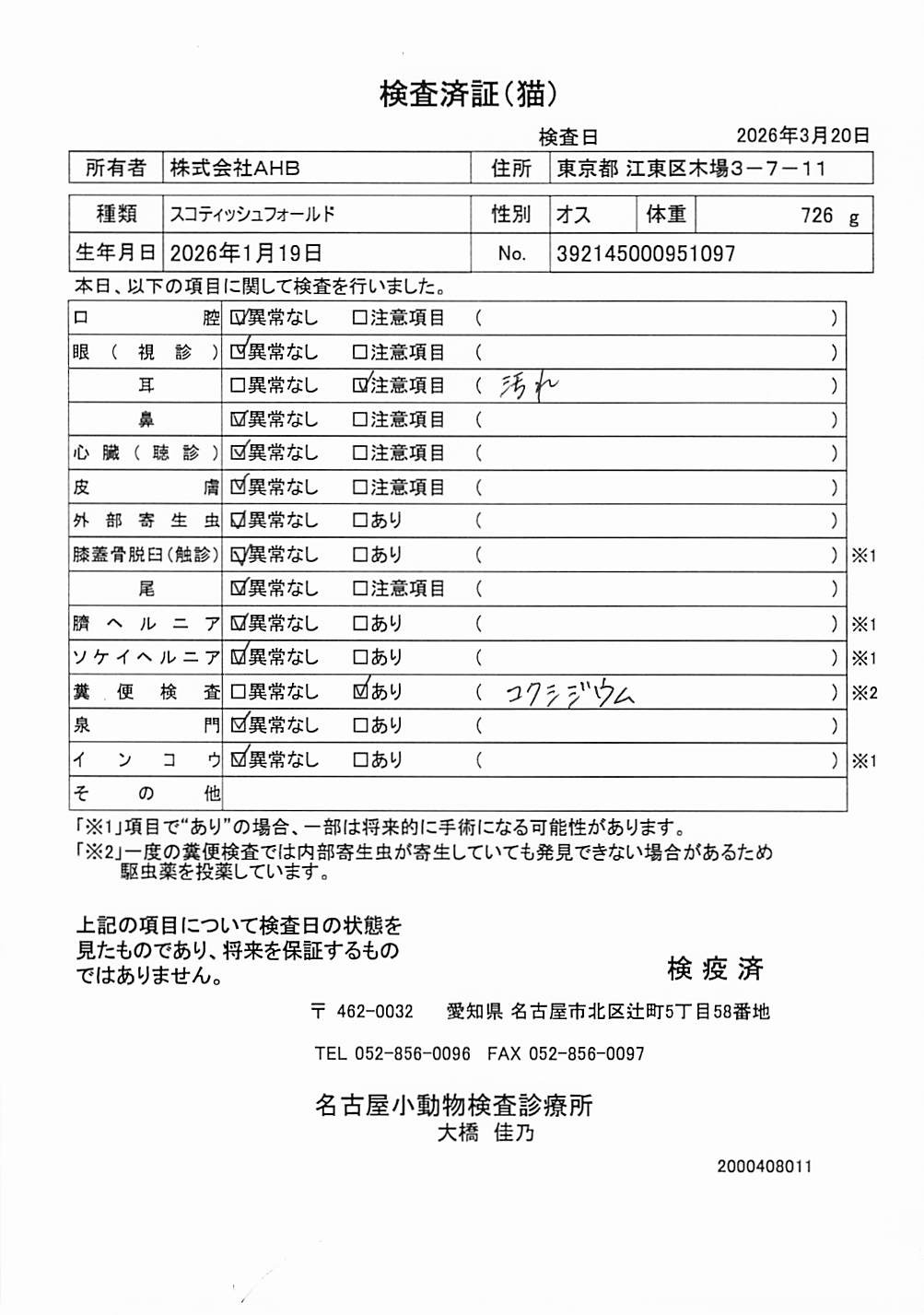 スコティッシュフォールド