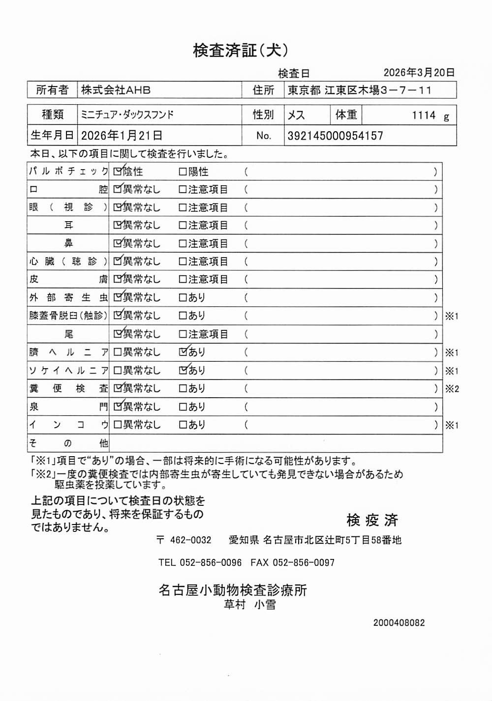 ミニチュア・ダックスフンド