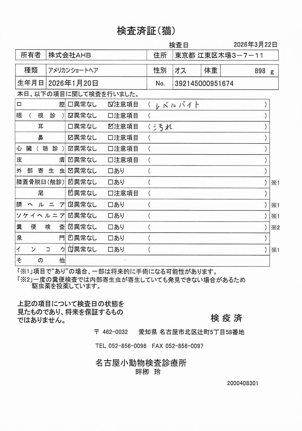 アメリカンショートヘア