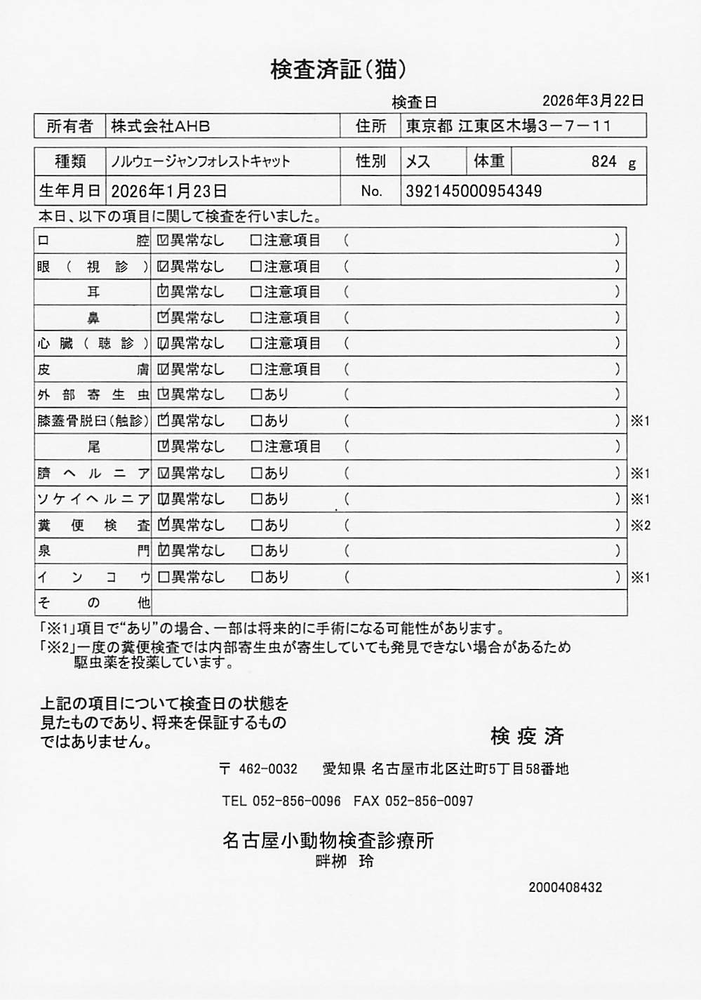 ノルウェージャンフォレストキャット