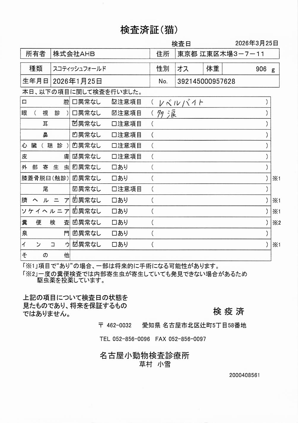 スコティッシュフォールド