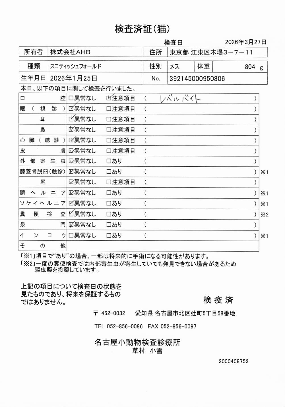 スコティッシュフォールド