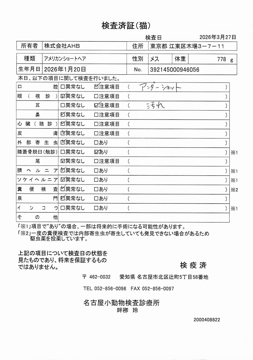アメリカンショートヘア