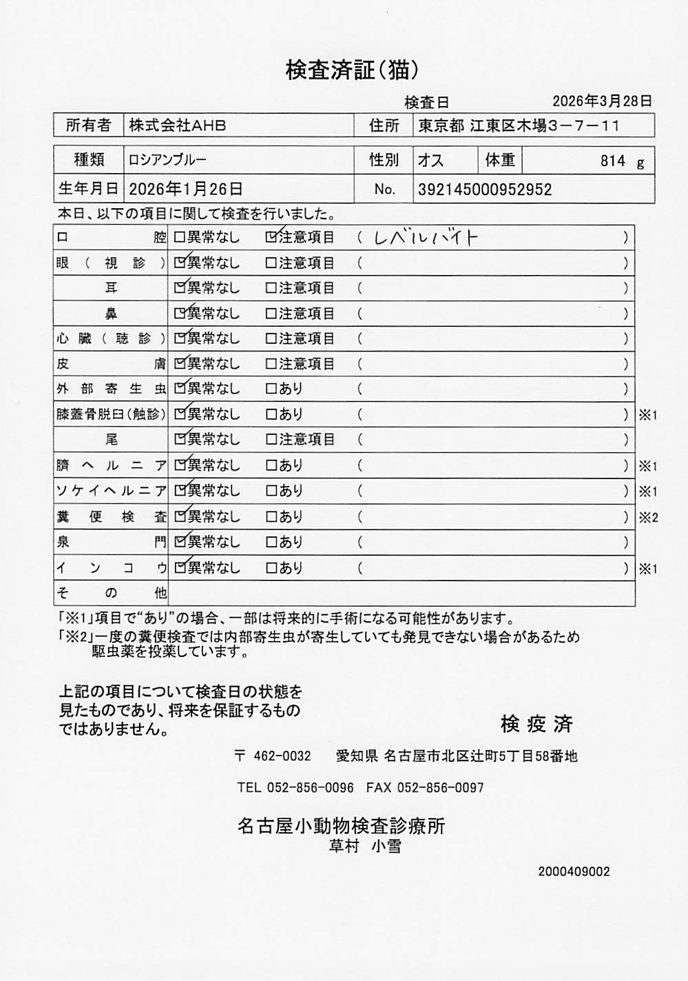 ロシアンブルー