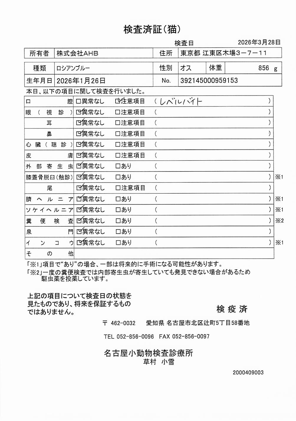 ロシアンブルー