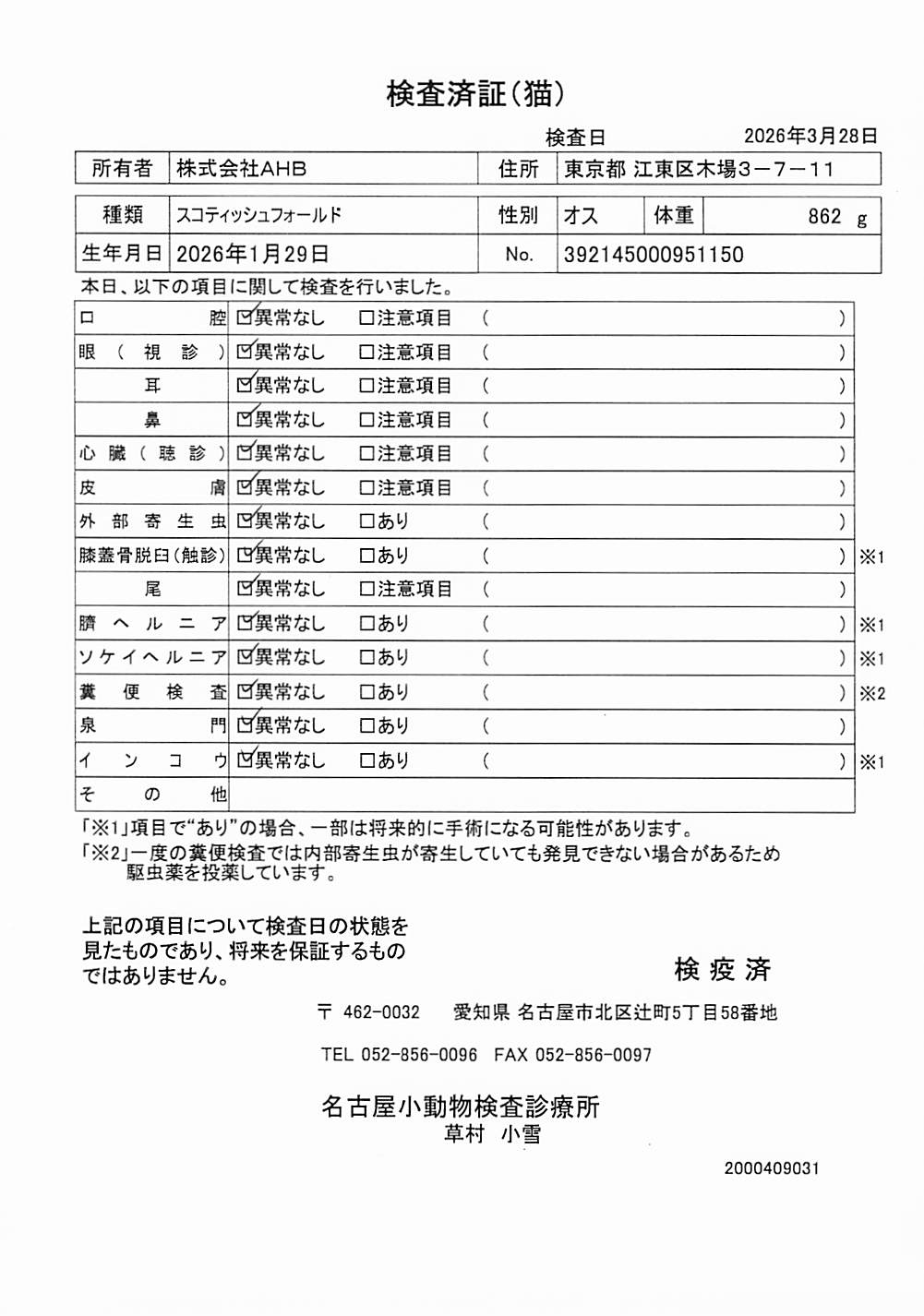 スコティッシュフォールド