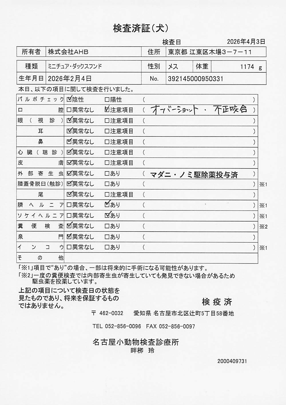 ミニチュア・ダックスフンド