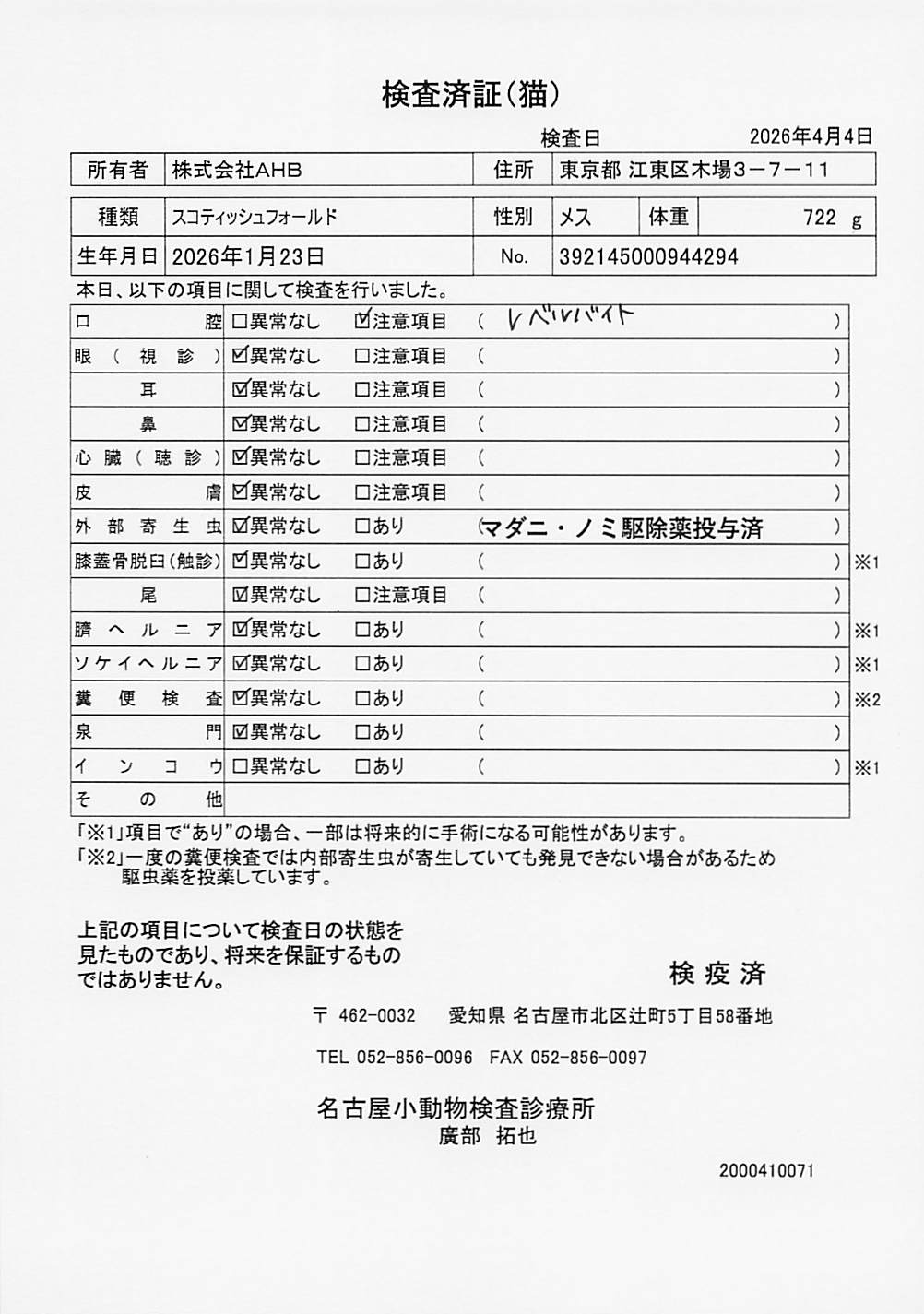 スコティッシュフォールド