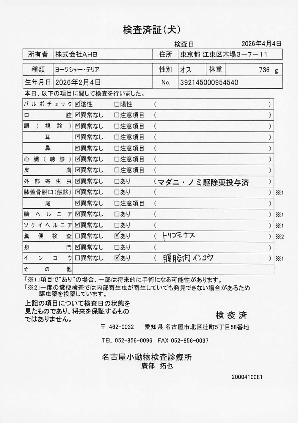 ヨークシャー・テリア