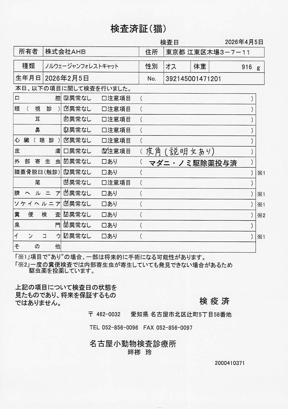 ノルウェージャンフォレストキャット