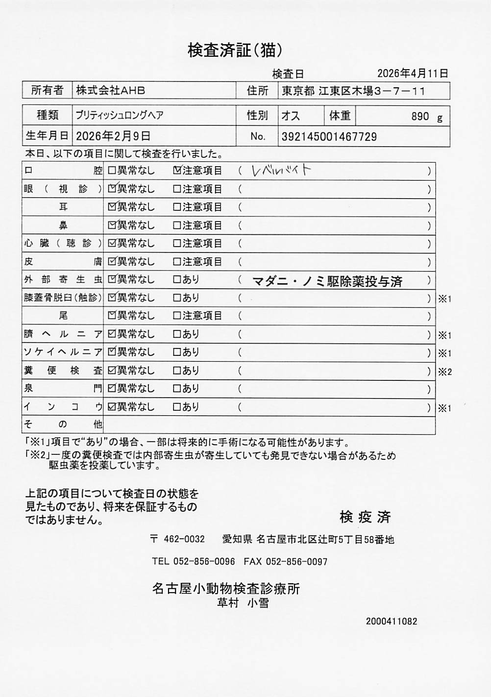 ブリティッシュロングヘア