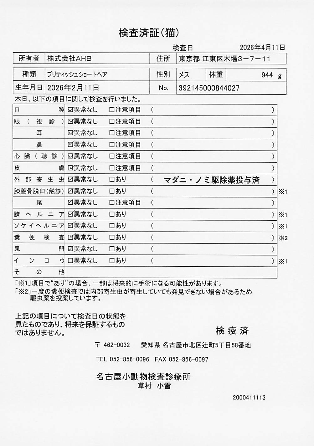 ブリティッシュショートヘア