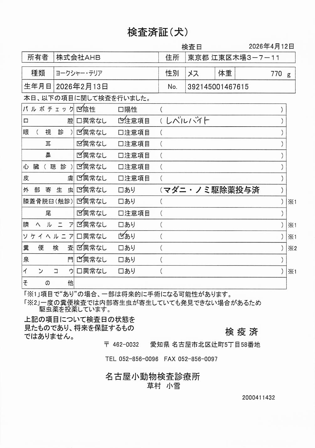 ヨークシャー・テリア