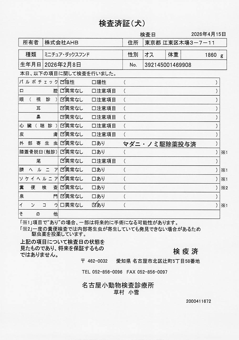 ミニチュア・ダックスフンド