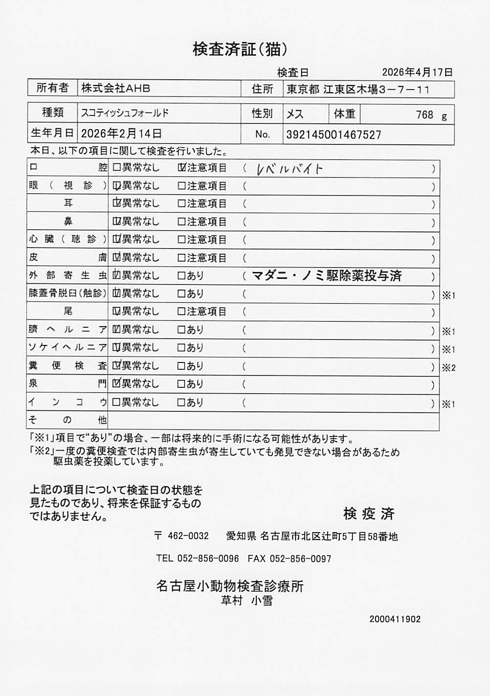 スコティッシュフォールド