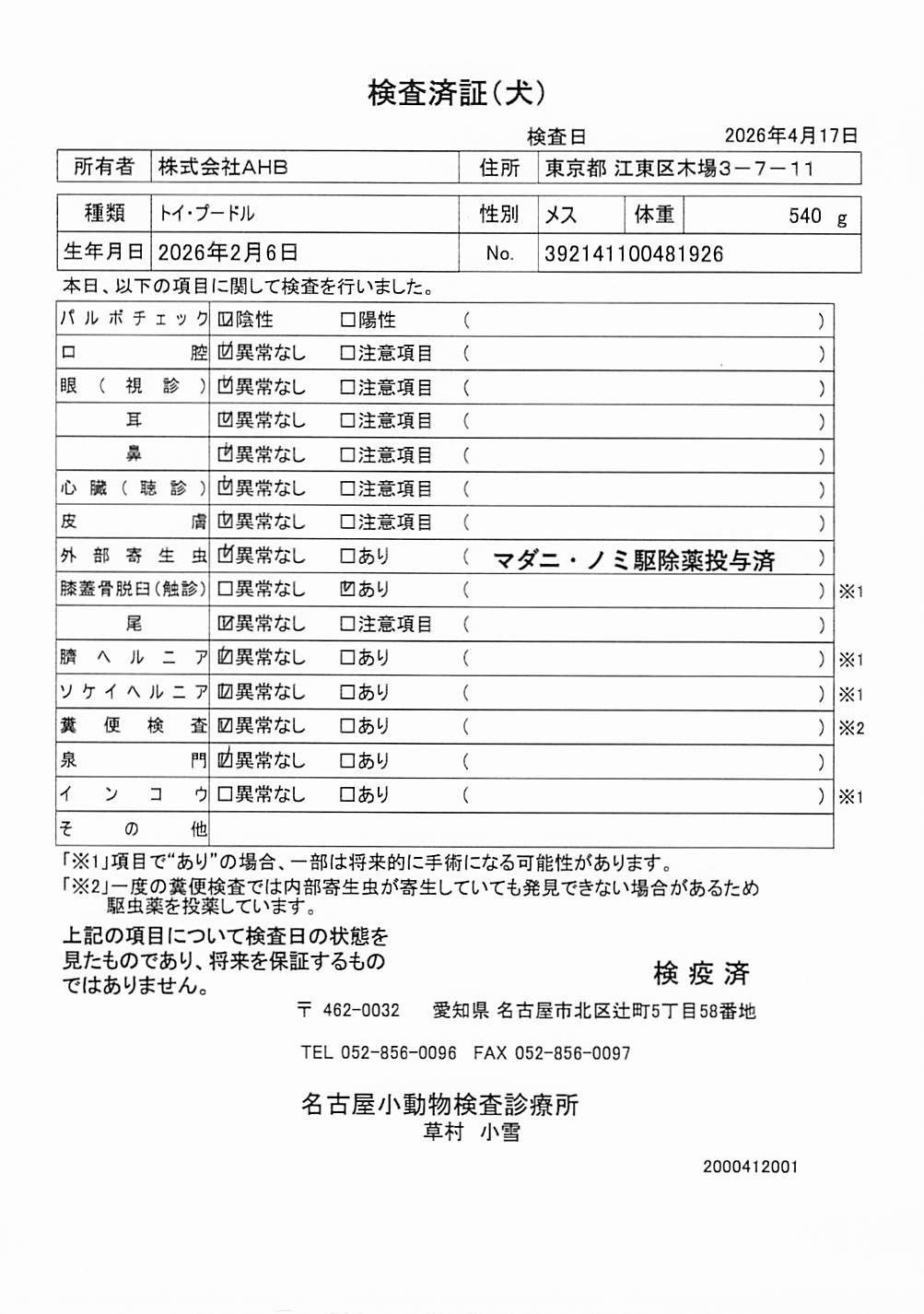 トイ・プードル