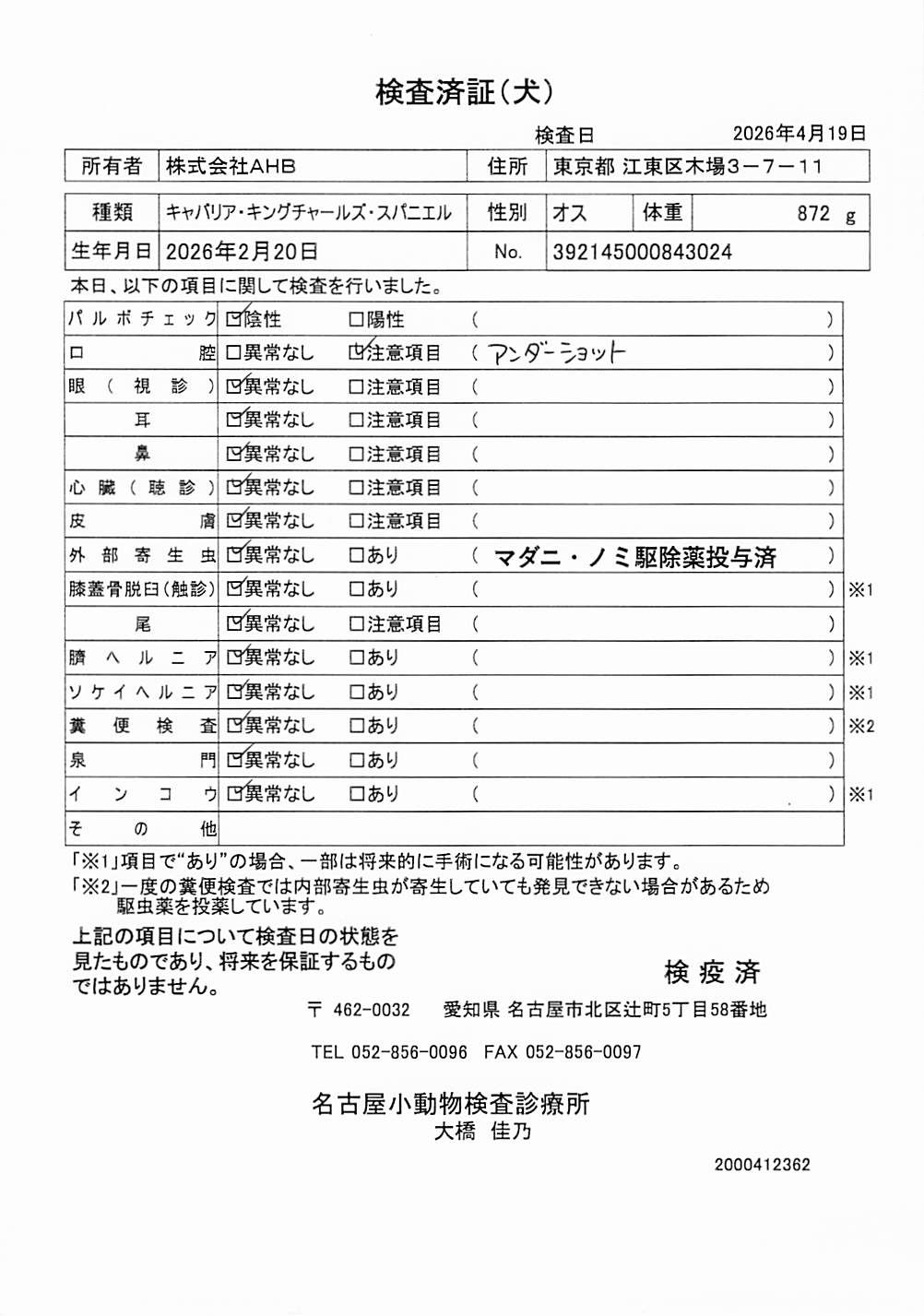 キャバリア・キングチャールズ・スパニエル