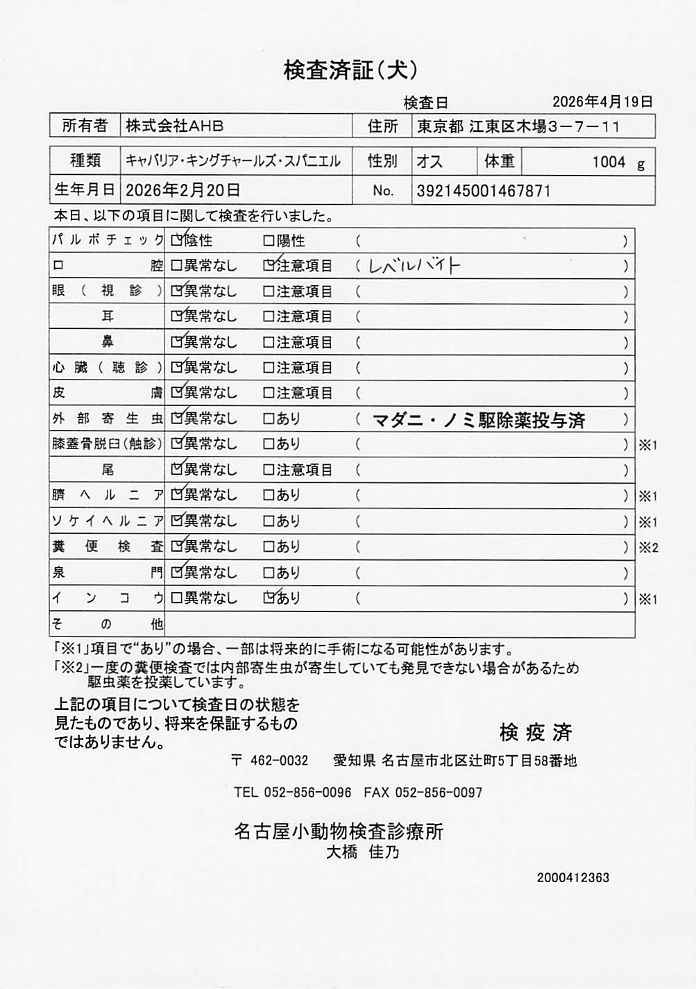 キャバリア・キングチャールズ・スパニエル