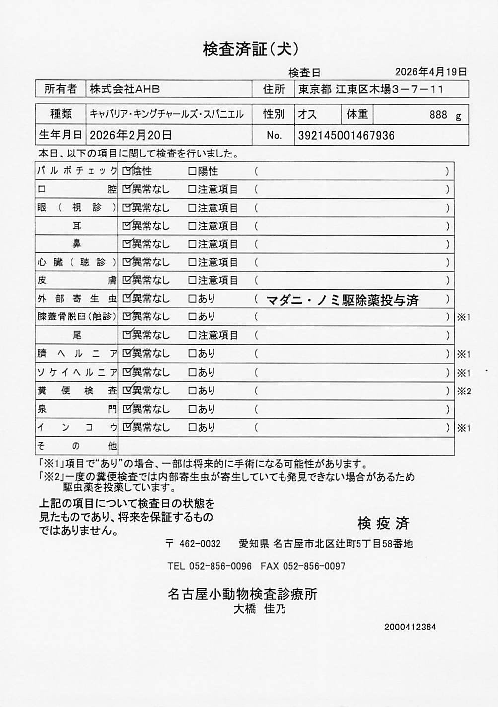 キャバリア・キングチャールズ・スパニエル