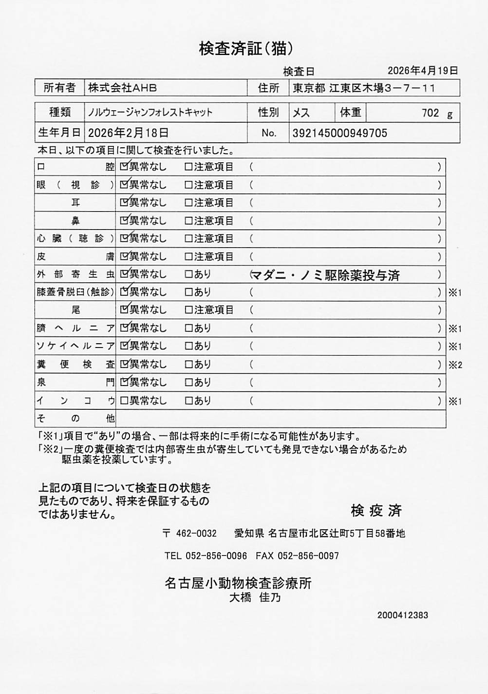 ノルウェージャンフォレストキャット