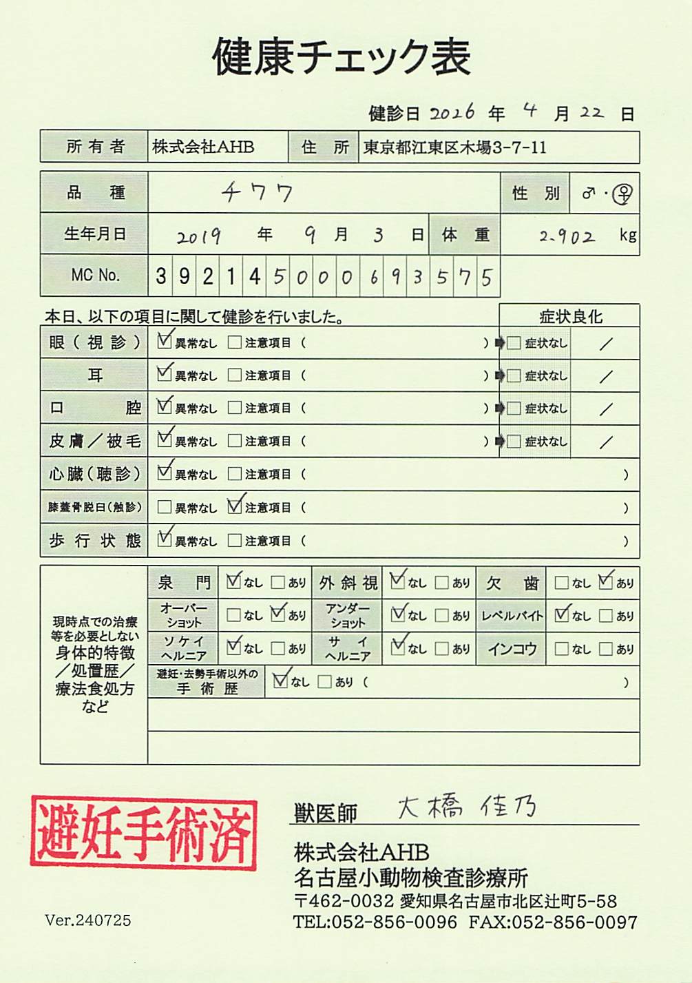 チワワ