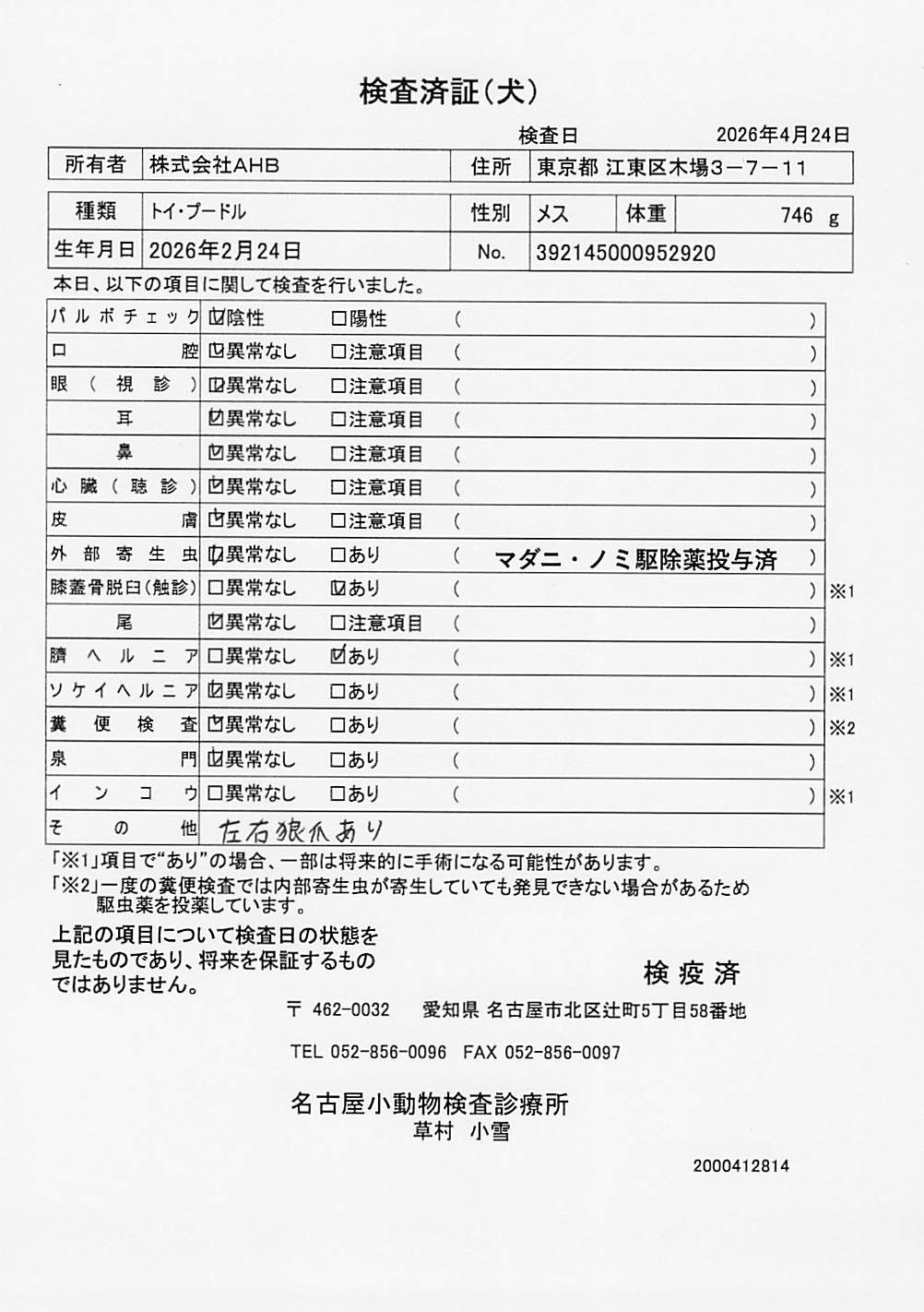 トイ・プードル