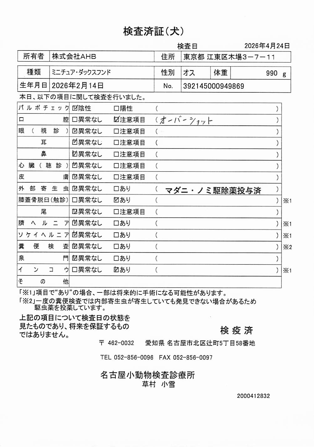 ミニチュア・ダックスフンド