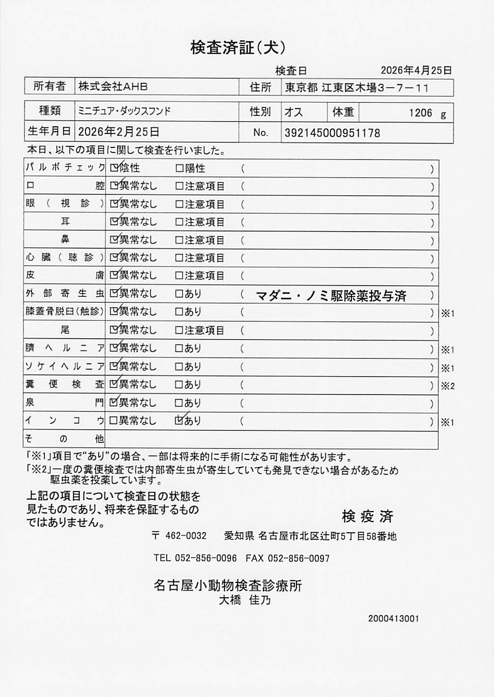 ミニチュア・ダックスフンド