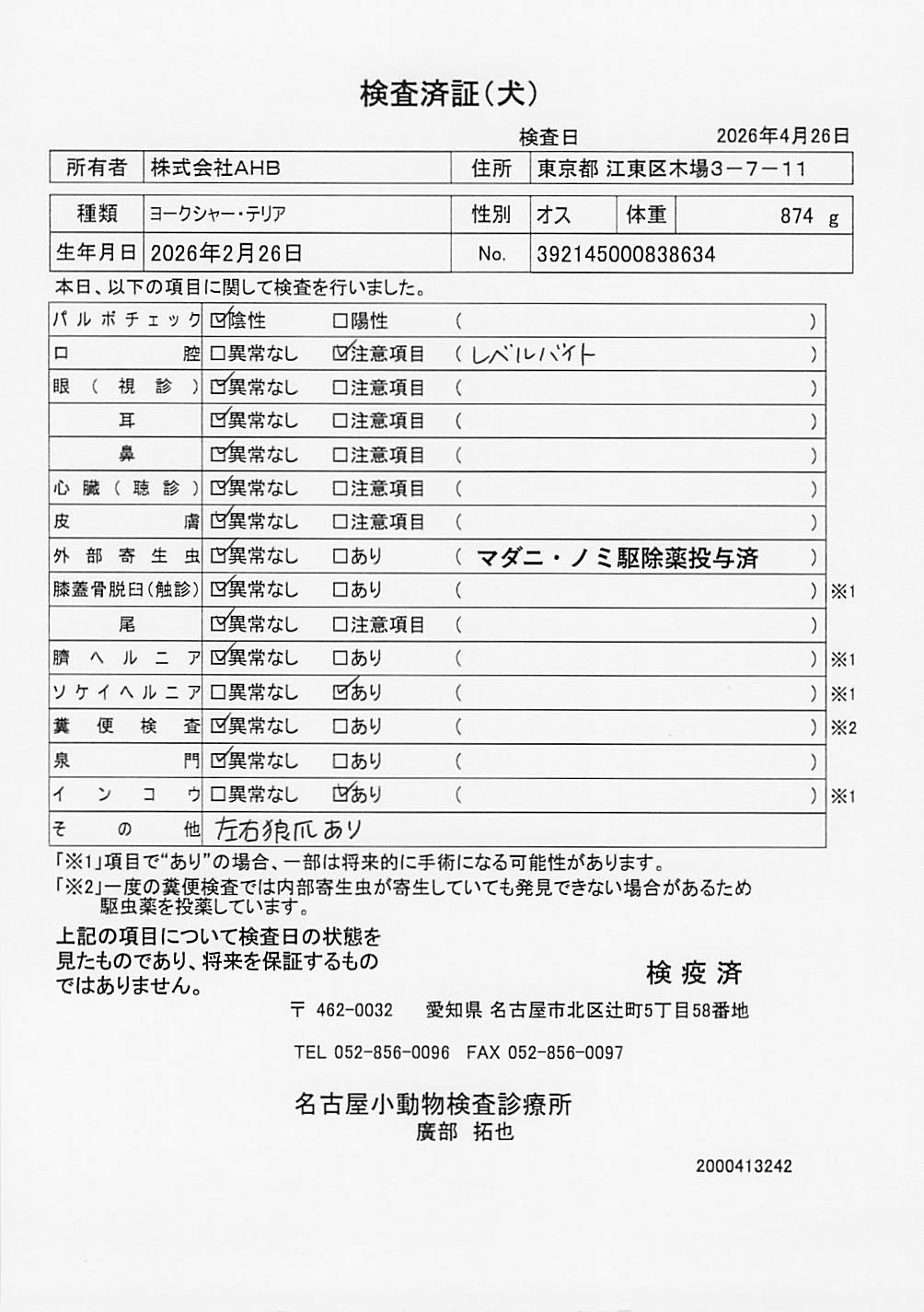 ヨークシャー・テリア