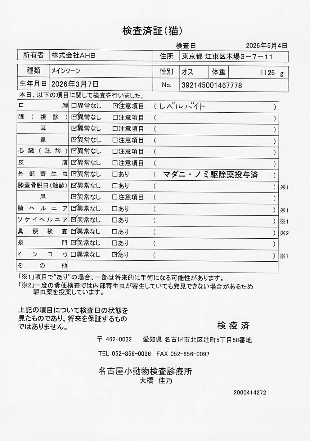 メインクーン